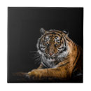 Recherche de animaux sauvages carreaux Jungle