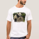 Recherche de gansu Faune