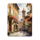 Recherche de double magnets Firenze