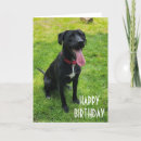 Search for you are special birthday cards For him