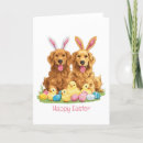 Search for golden retriever easter cards Puppy