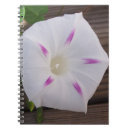 Search for morning glory notebooks Floral