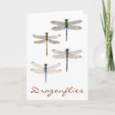 Search for flying insects cards Nature