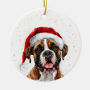 Search for boxer dog ornaments Cute