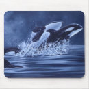 Search for orca mousepads Arctic