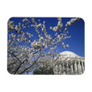 Search for washington dc magnets Monument