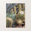 Recherche de aride Cactus