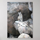 Recherche de animal puma posters Lion de montagne