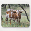 Search for texas longhorn mousepads Longhorns