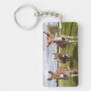 Search for donkeys keychains Nature