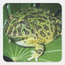 Recherche de crapaud drôle autocollants Animal