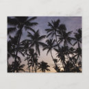 Recherche de samana cartes postales Caraïbes