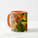 Search for daylily mugs Nature photography