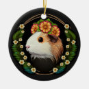 Search for guinea pig ornaments Cute animal
