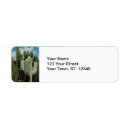 Search for new mexico return address labels Southwest
