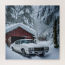 Search for snow storm puzzles Ice