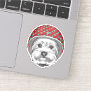 Search for vintage helmet stickers Aviator