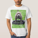 Search for adult tshirts Playful