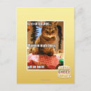 Search for buns postcards I can has cheezburger