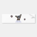Search for pet lovers bumper stickers Chihuahua