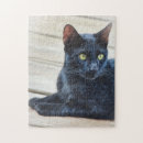 Recherche de kitty cat puzzles Mignon