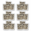 Search for bandits stickers Nature