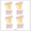 Search for funny hawaiian stickers Pineapple