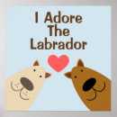 Recherche de chocolat labrador posters Extracteur