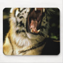 Recherche de zoo tapis souris Détroit