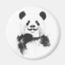 Search for panda magnets Black and white