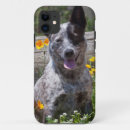 Search for alertness phone cases Dog