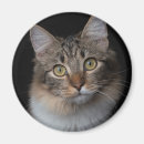Search for buttons Cat