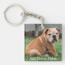 Search for bully dog keychains Dogs