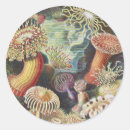 Search for animal science stickers Ernst haeckel