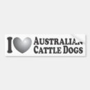 Search for australian cattle dog bumper stickers Breed
