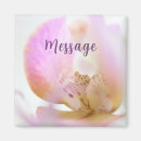 Recherche de orchidee magnets Texte