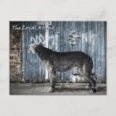 Recherche de loyal cartes postales Loup