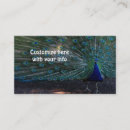 Search for peacock business cards Animals