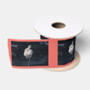 Search for flamingo ribbon Wildlife