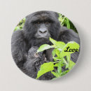 Search for gorillas buttons Mountain gorilla