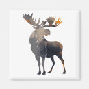 Recherche de animaux de forêt magnets Orignal