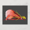 Recherche de nerfs cartes postales Dessin