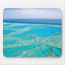 Search for clear mousepads Tropical
