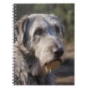 Recherche de wolfhound Loup