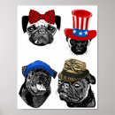 Search for pet pug posters Pets