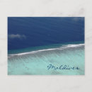 Search for coral reef Travel
