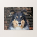 Search for sheltie puzzles Animal