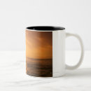 Search for freedom of the seas mugs Swimming