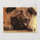 Recherche de de carlin cartes postales Vintage