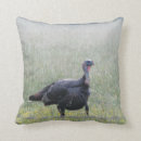 Search for turkey pillows Bird